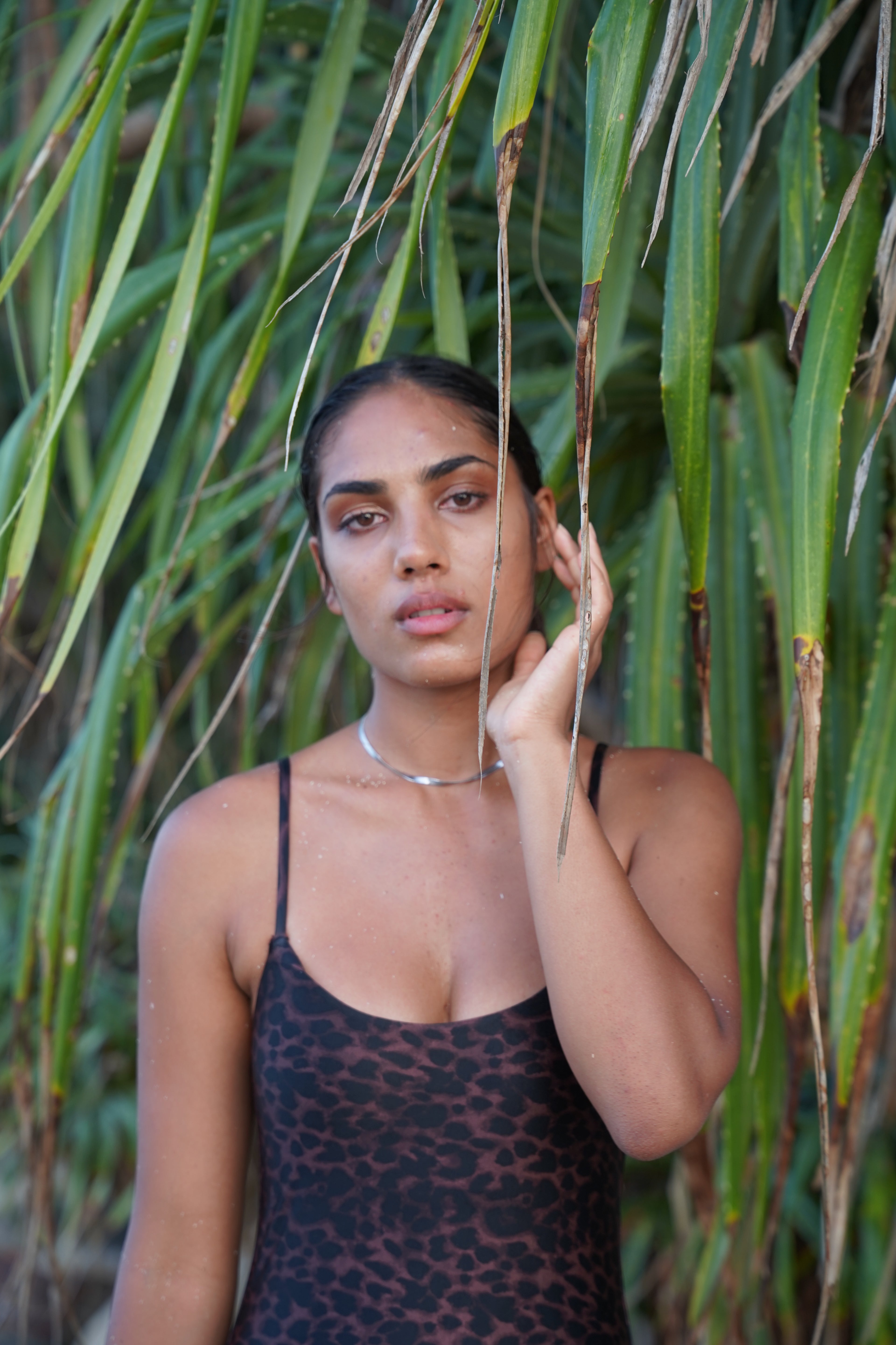 Timeless One Piece in Big Cat